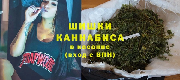spice Горнозаводск