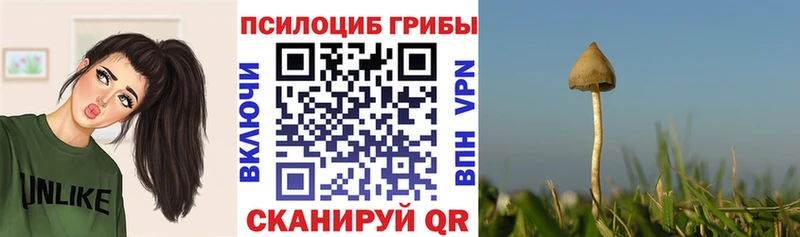 Псилоцибиновые грибы MAGIC MUSHROOMS  Купить закладки  Снежинск 